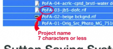 Organizing & Naming<br>P12 Basics 4.1